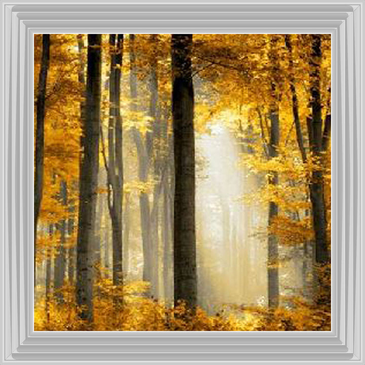 Trees in Autumn Yellow Leaves