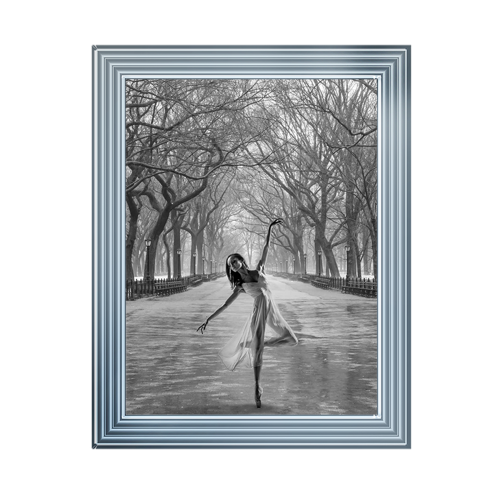 Frozen Park Ballet ||