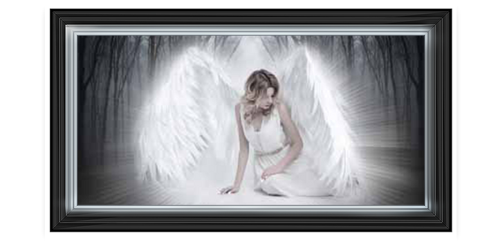 FG648 Angel In The Woods