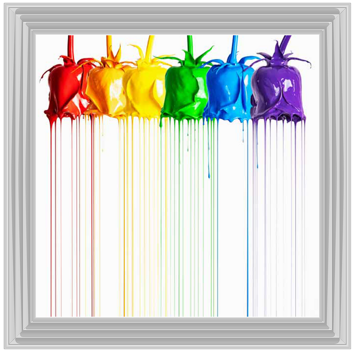 Rainbow of Roses