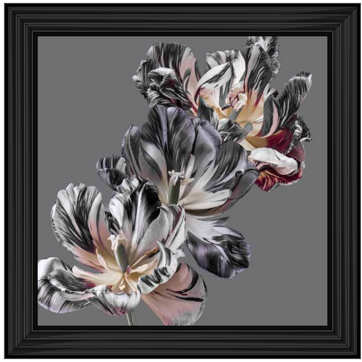 Smoky Floral