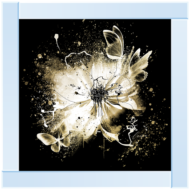 FL327 Butterflies On A Flower Black