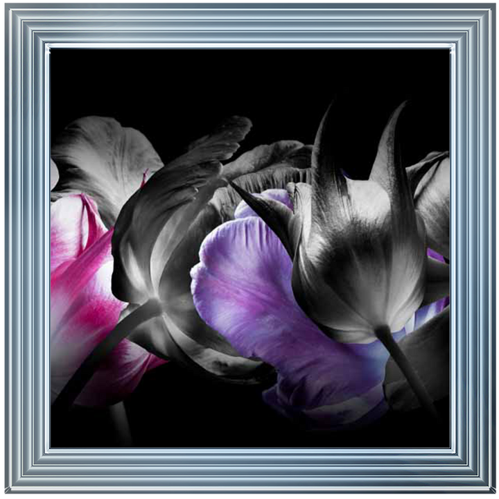 FL333 Hints of Purple and Pink ||