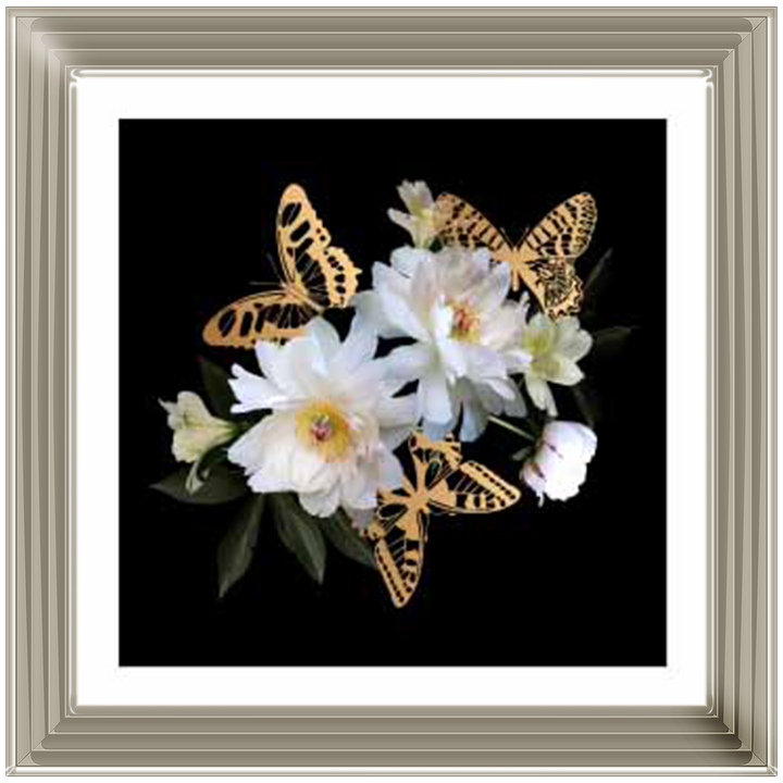 FL355 Butterflies & Blooms ||
