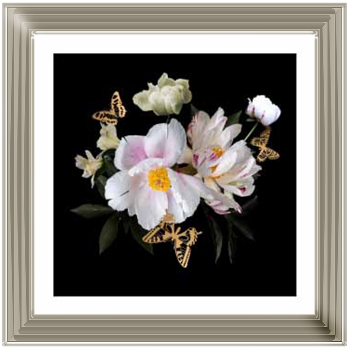 FL356 Butterflies & Blooms |||