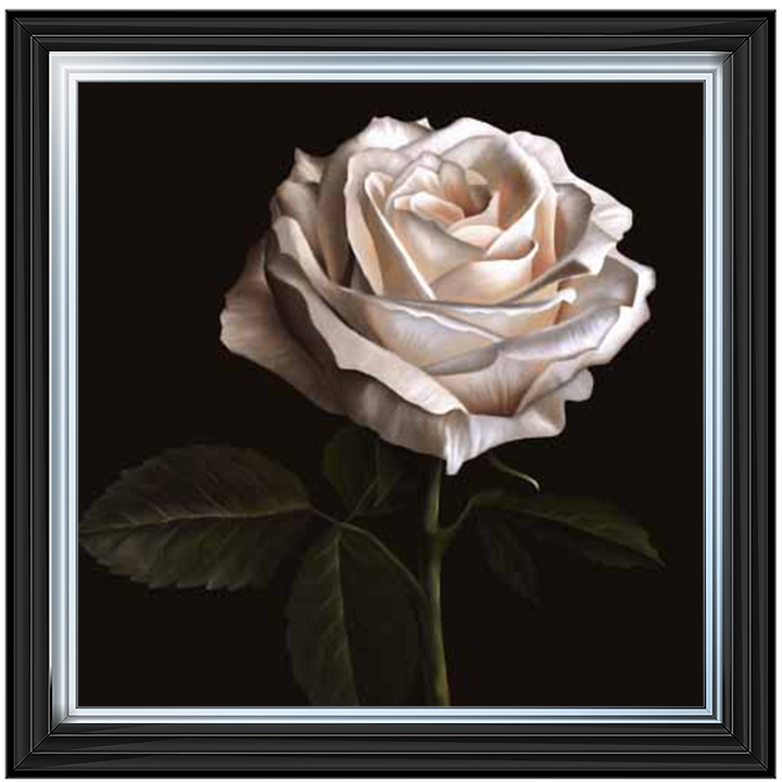 Single Rose