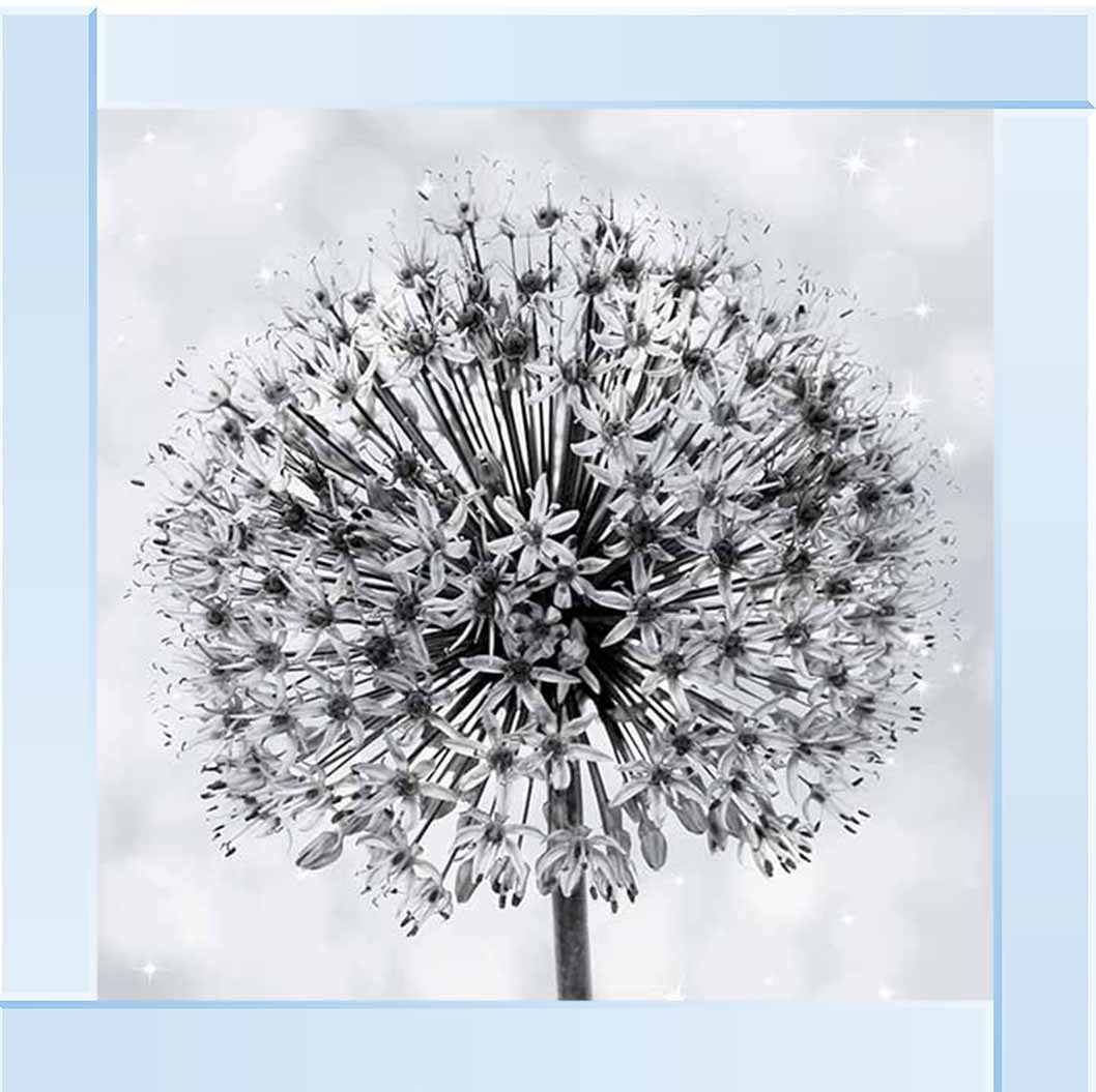 FL491 Single Dandelion Flower