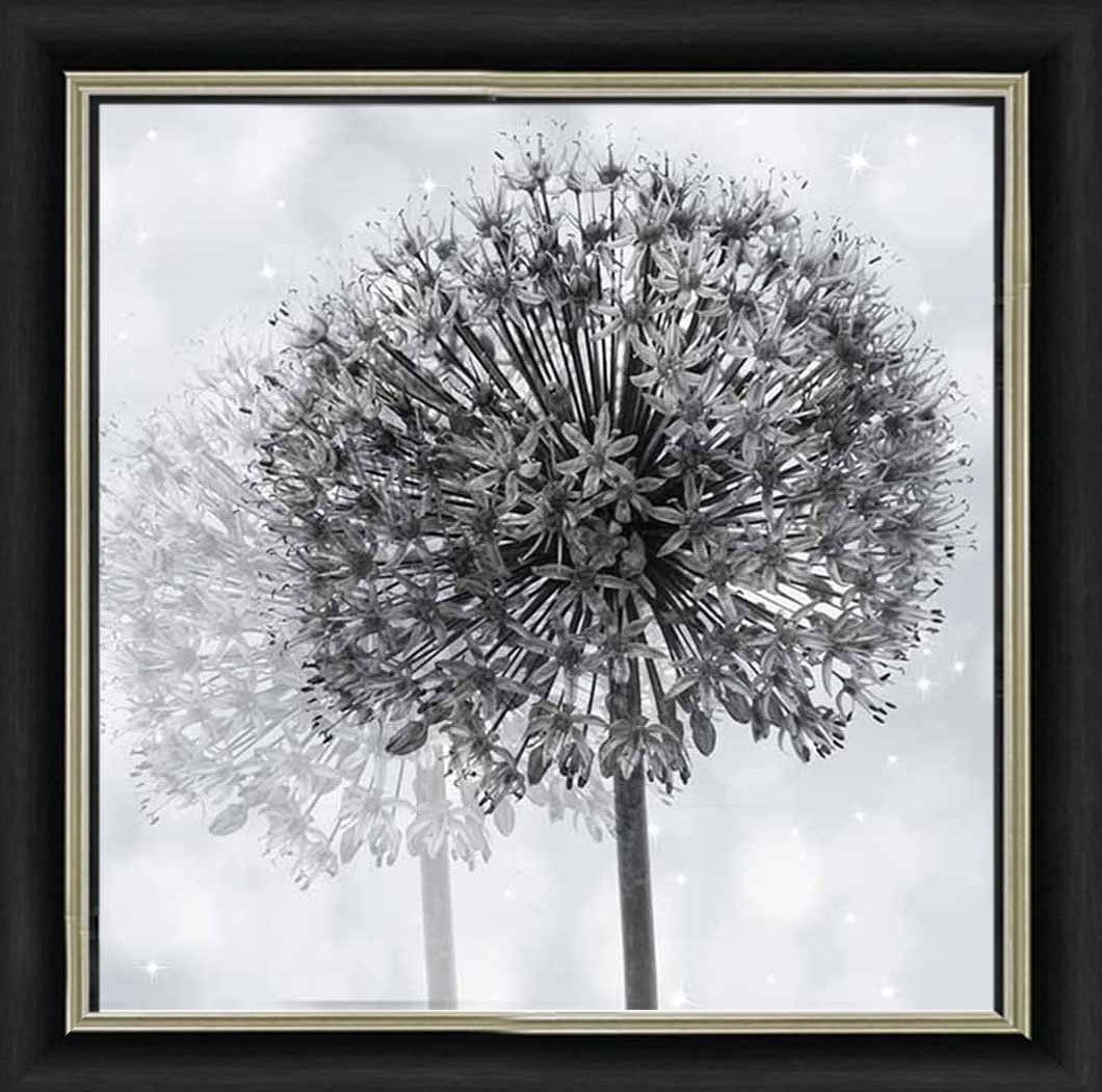 FL492 Dandelion Make A Wish