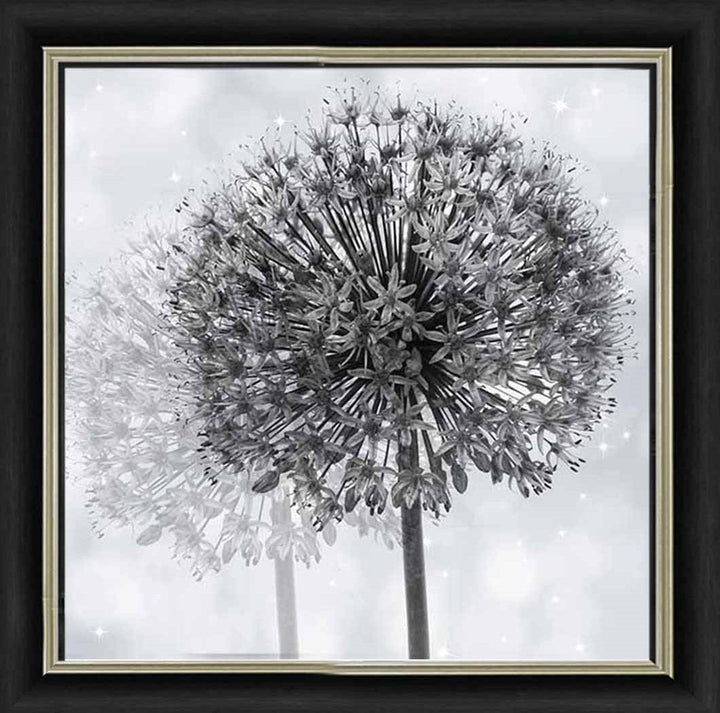 FL492 Dandelion Make A Wish