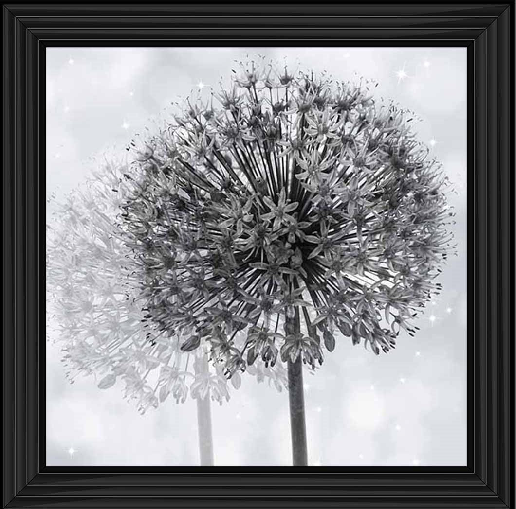 FL492 Dandelion Make A Wish