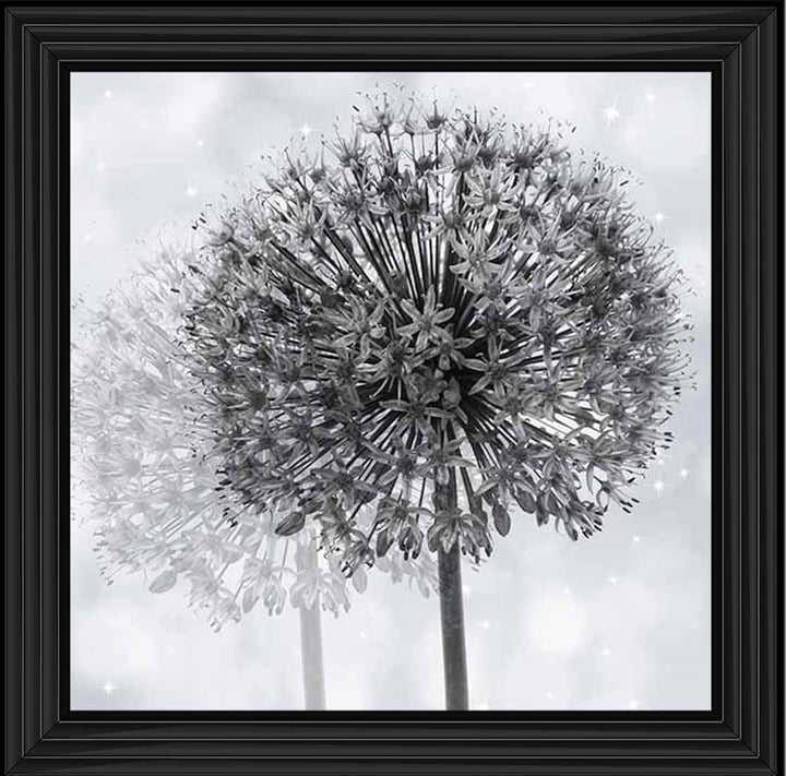 FL492 Dandelion Make A Wish