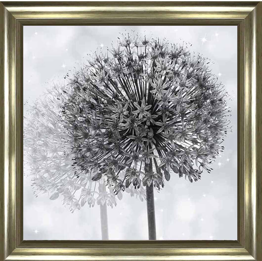 FL492 Dandelion Make A Wish