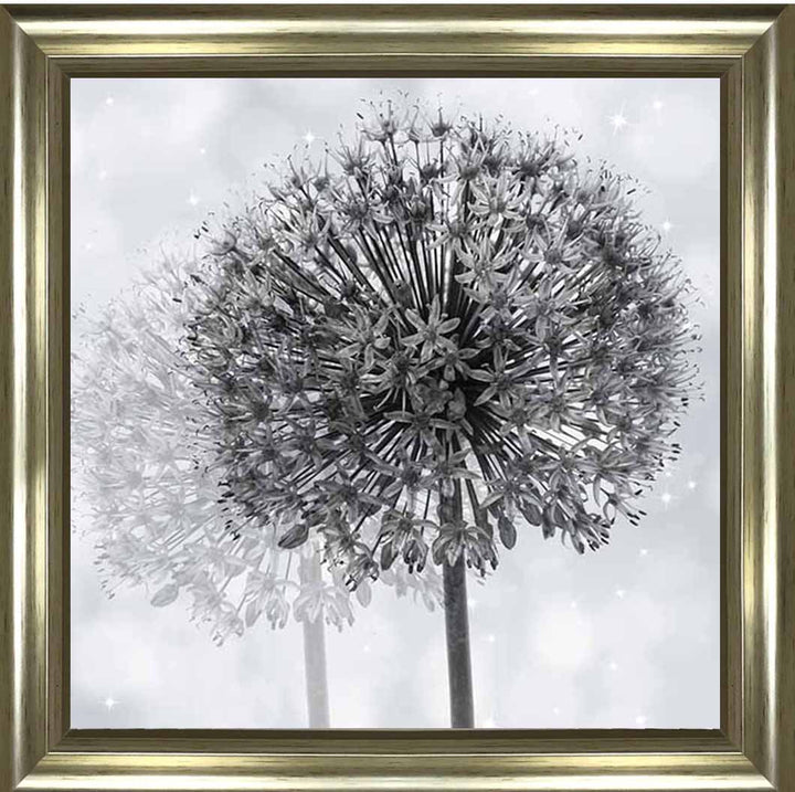 FL492 Dandelion Make A Wish
