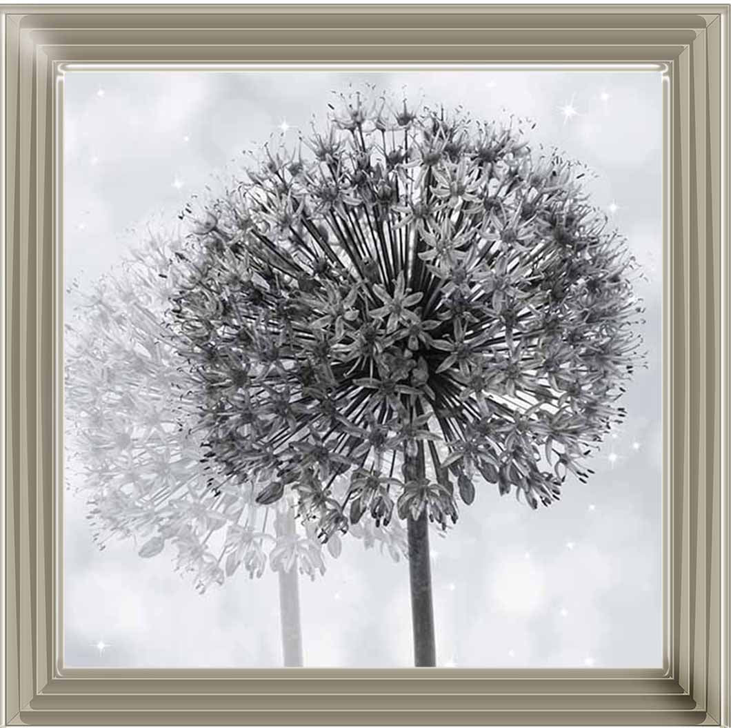 FL492 Dandelion Make A Wish