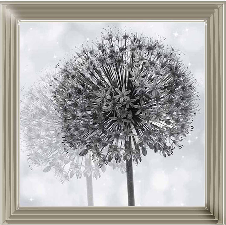 FL492 Dandelion Make A Wish