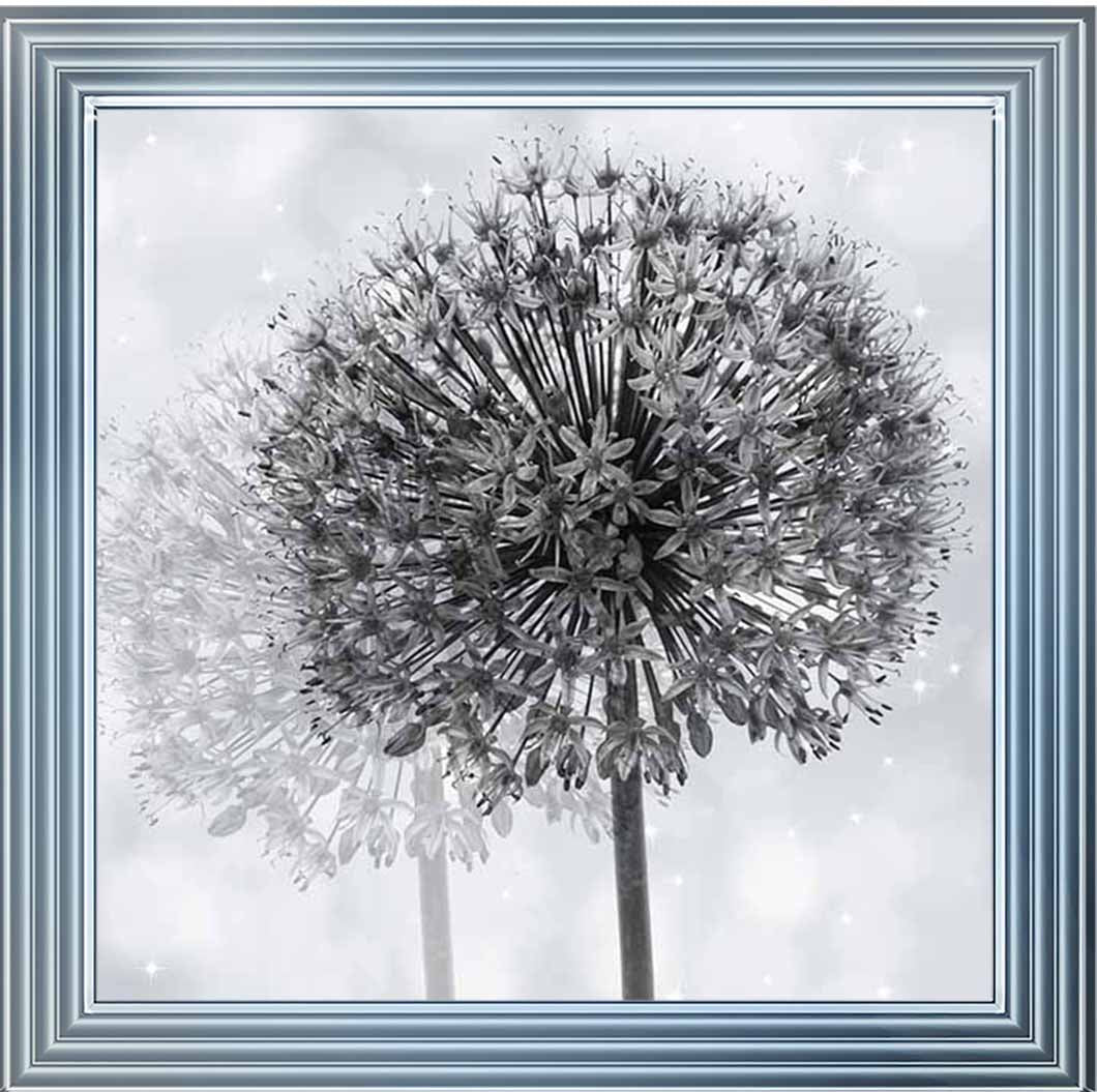 FL492 Dandelion Make A Wish