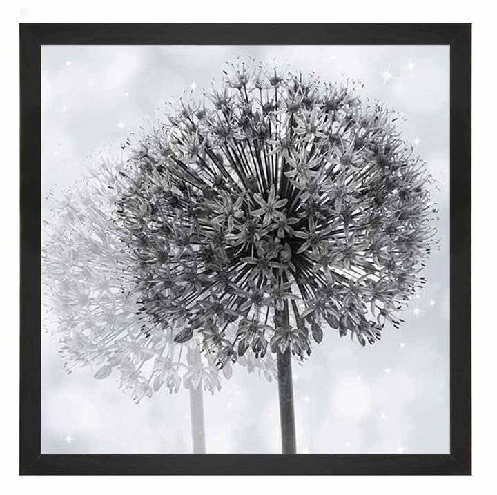 FL492 Dandelion Make A Wish
