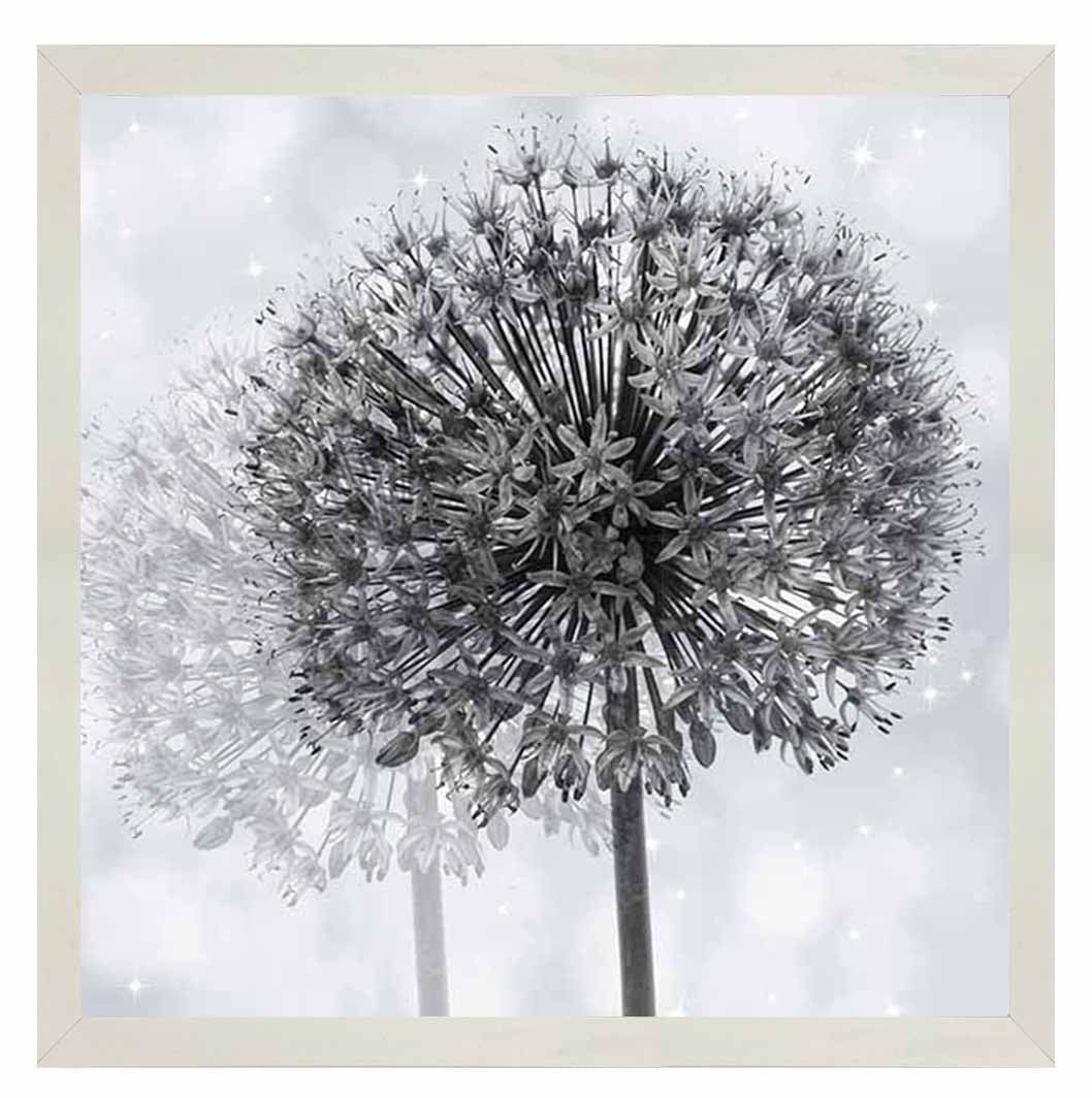 FL492 Dandelion Make A Wish