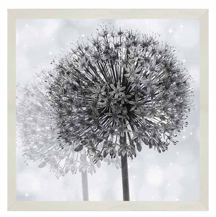 FL492 Dandelion Make A Wish