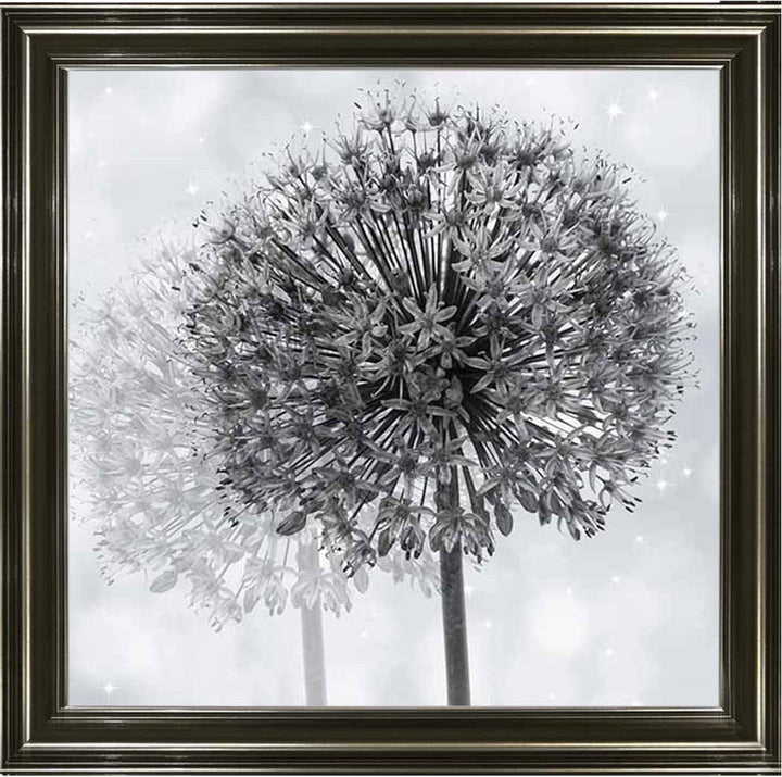 FL492 Dandelion Make A Wish