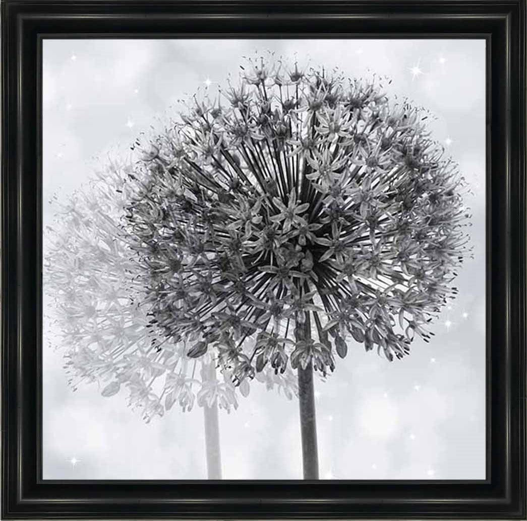 FL492 Dandelion Make A Wish
