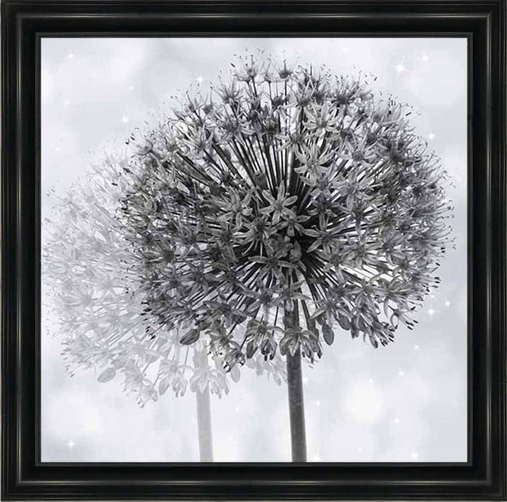 FL492 Dandelion Make A Wish