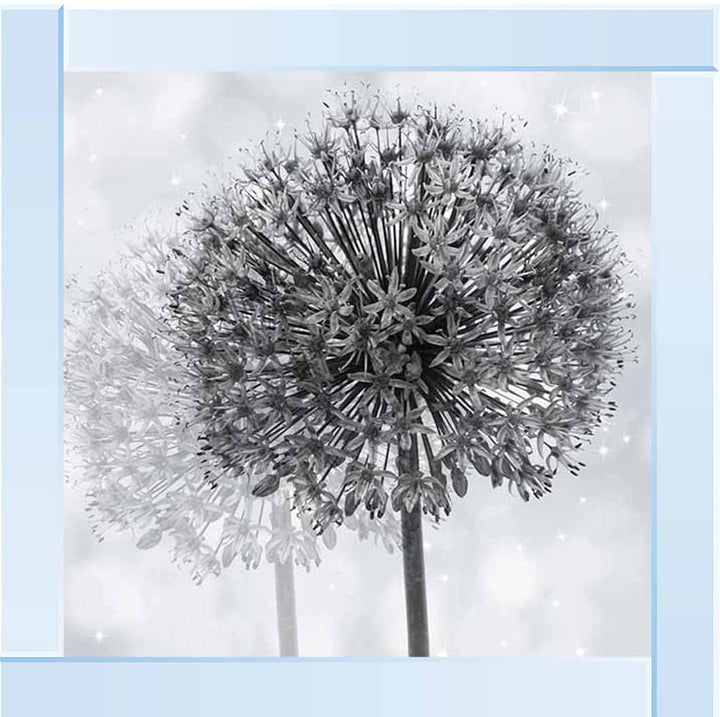 FL492 Dandelion Make A Wish