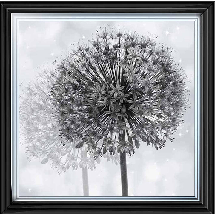FL492 Dandelion Make A Wish