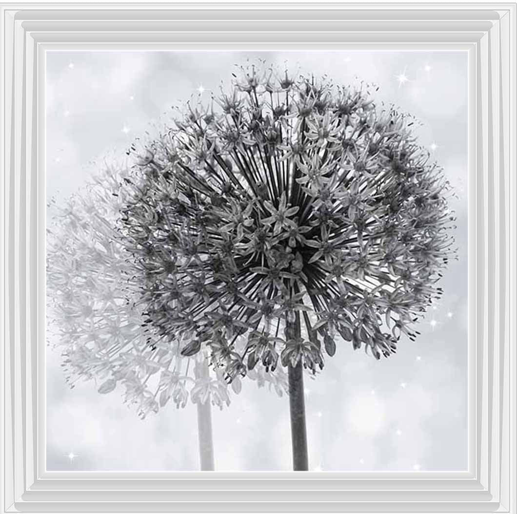 FL492 Dandelion Make A Wish