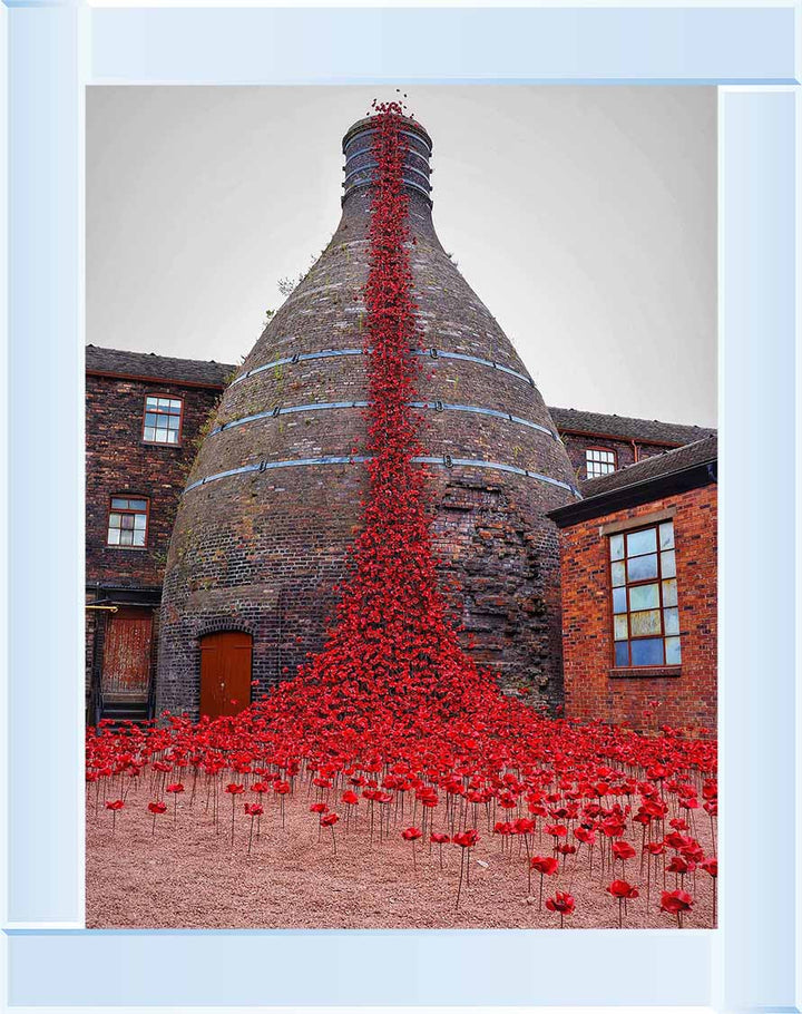 FL504 POPPIES WEEPING WINDOW