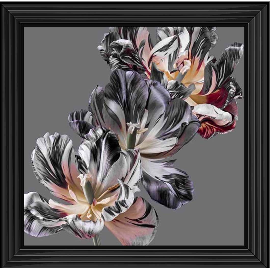 FL628 Dark Botanical