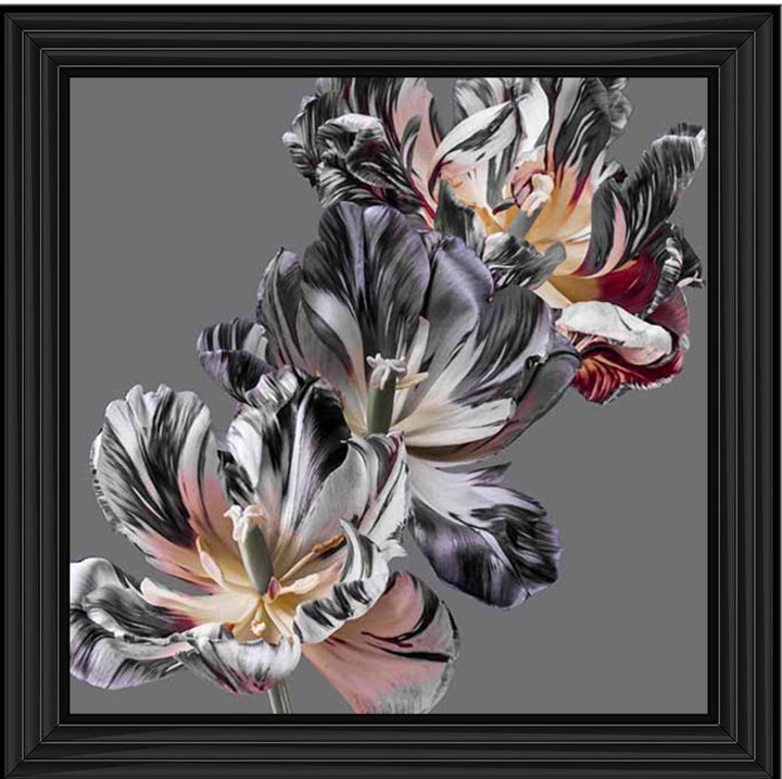 FL628 Dark Botanical