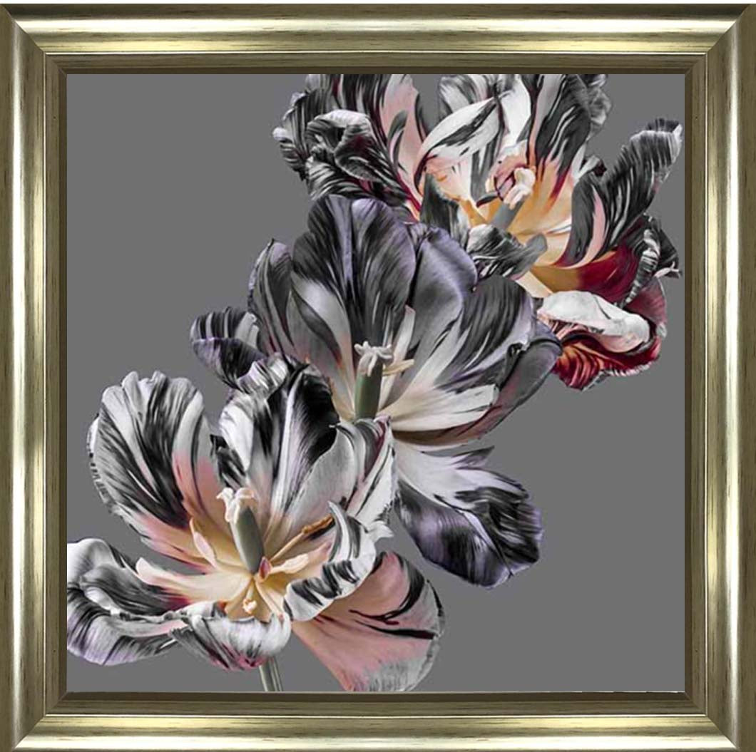 FL628 Dark Botanical