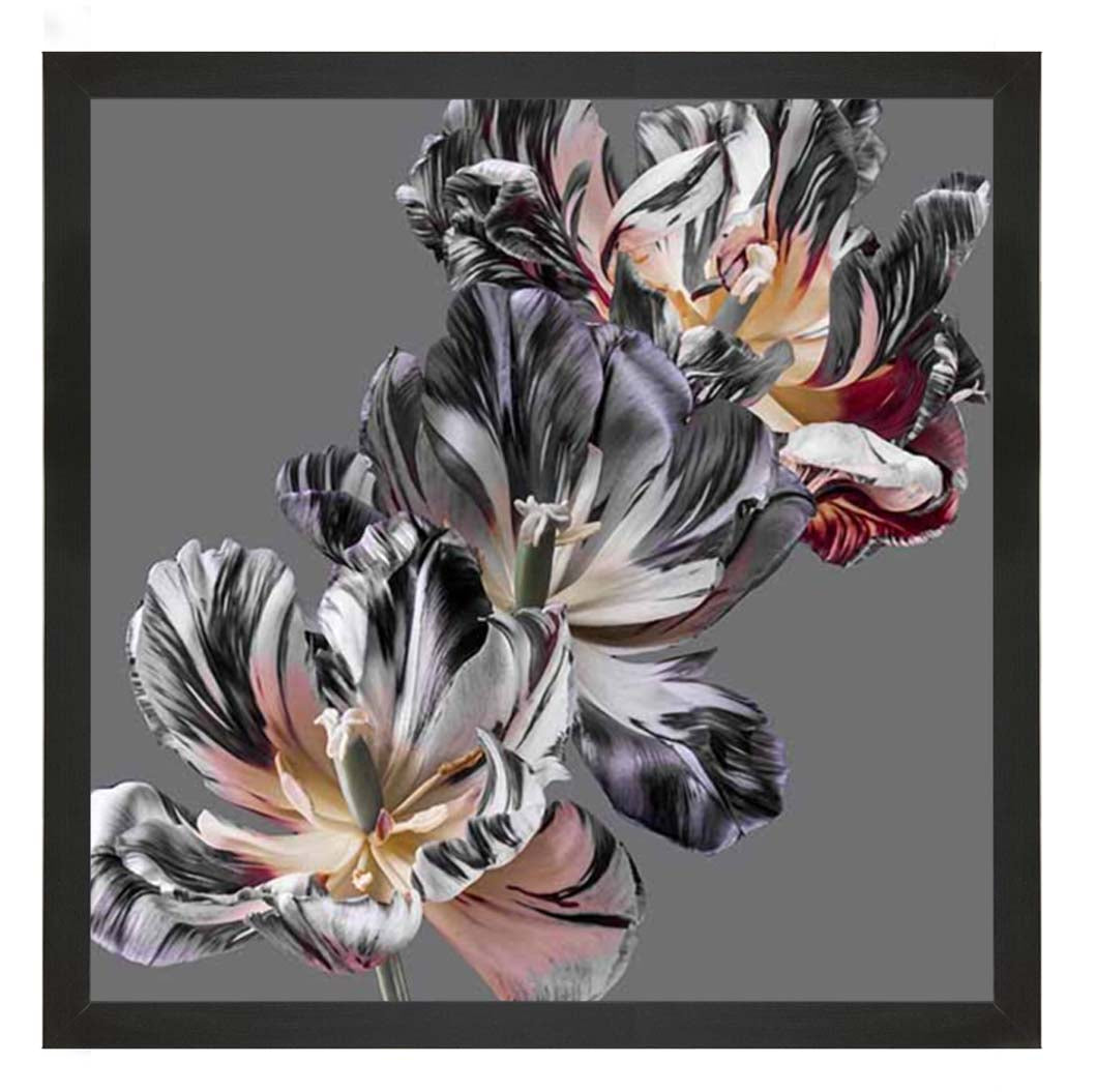 FL628 Dark Botanical