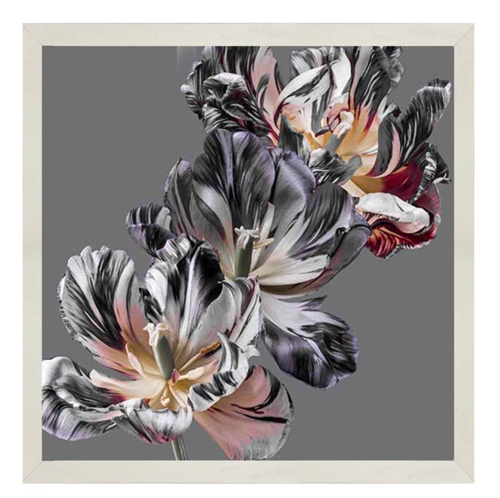 FL628 Dark Botanical