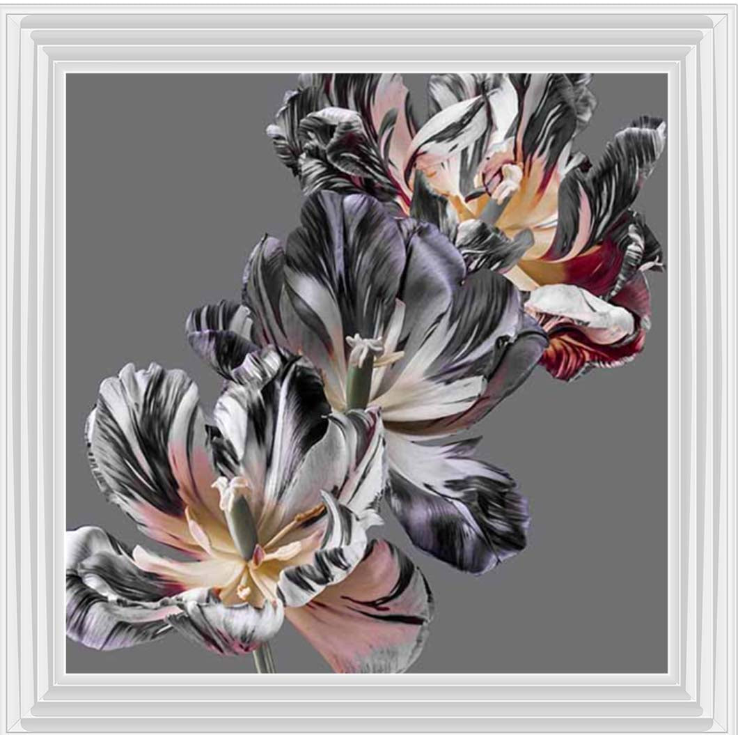 FL628 Dark Botanical