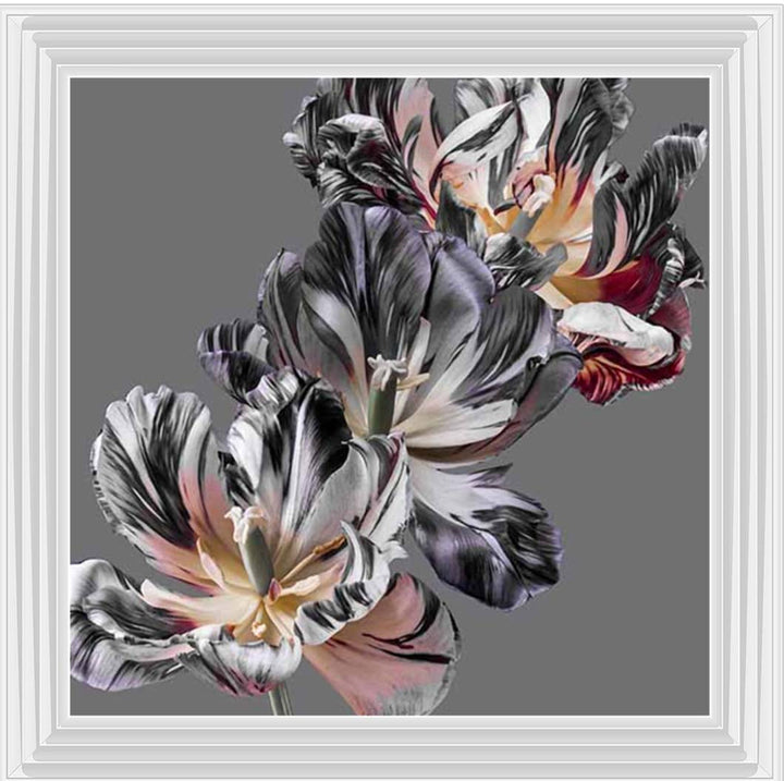 FL628 Dark Botanical
