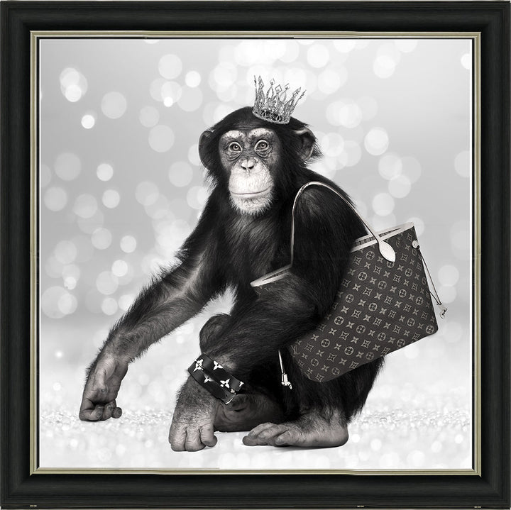 AN151 FASHION MONKEY
