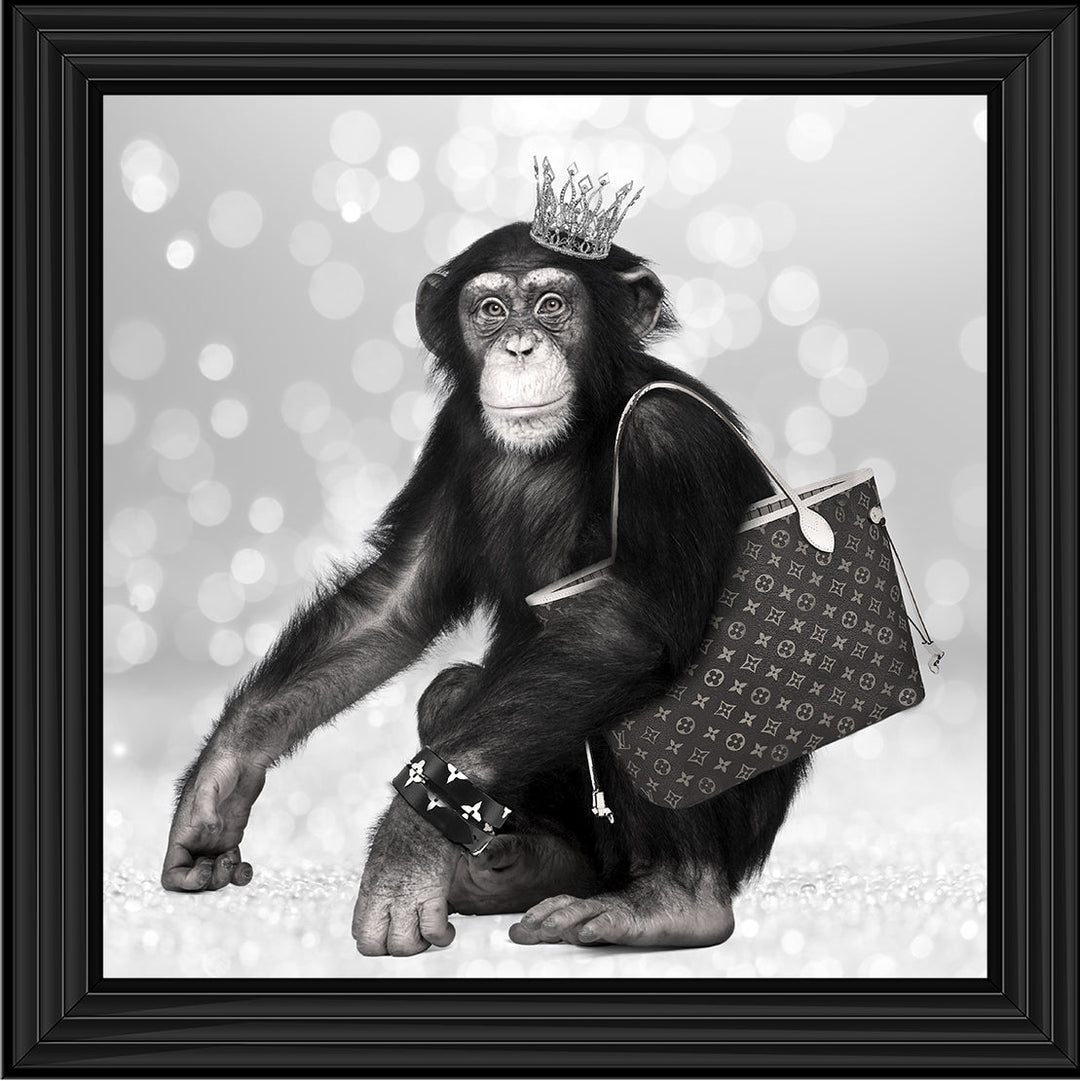 AN151 FASHION MONKEY