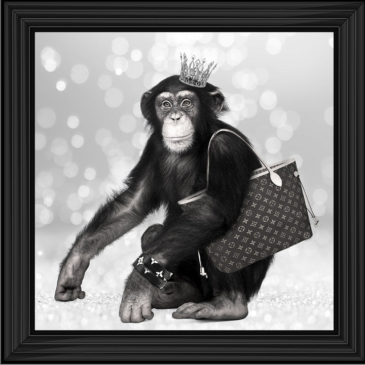 AN151 FASHION MONKEY