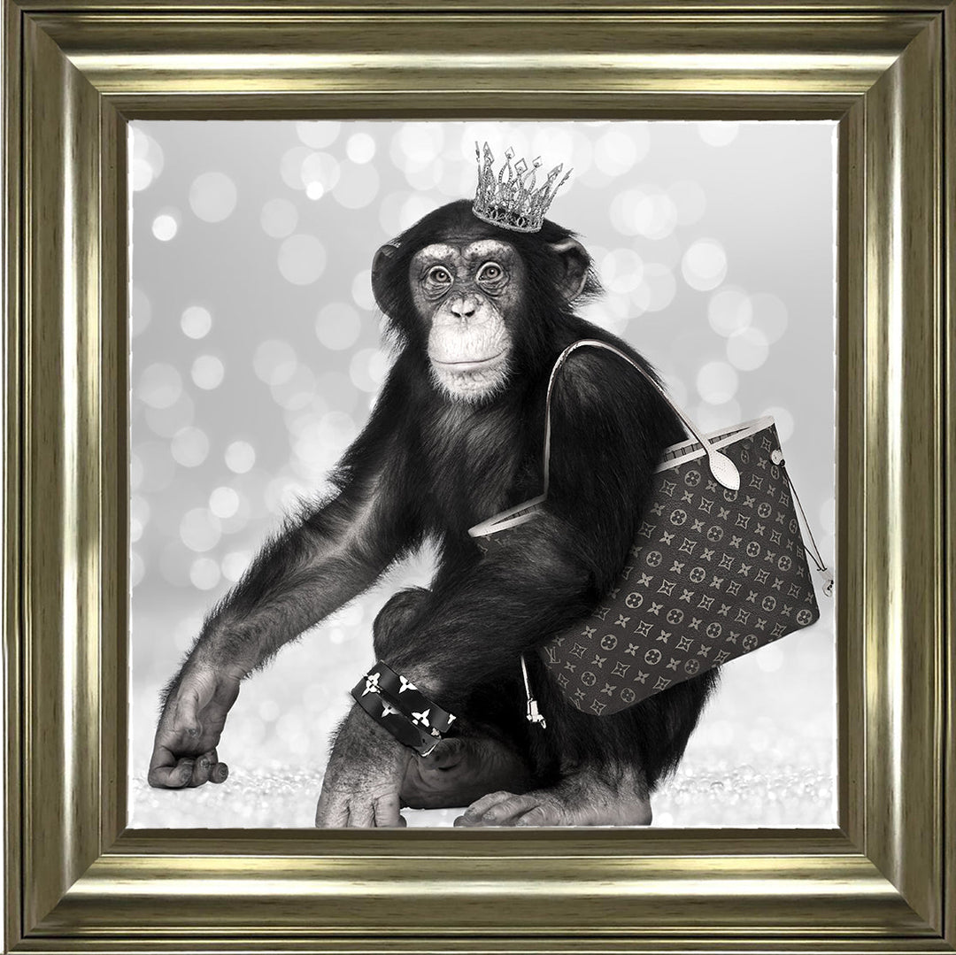AN151 FASHION MONKEY