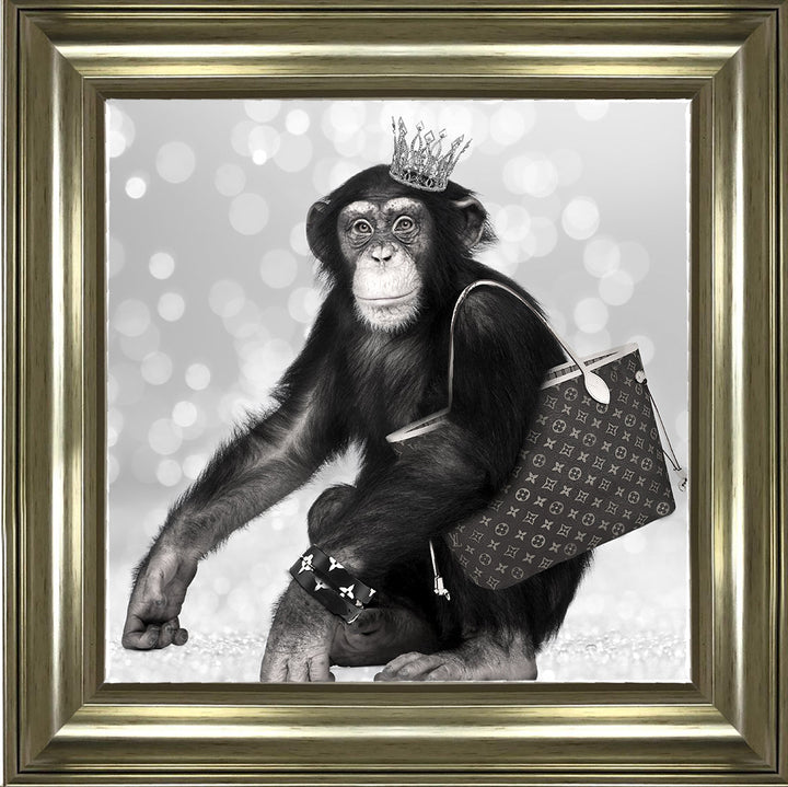 AN151 FASHION MONKEY