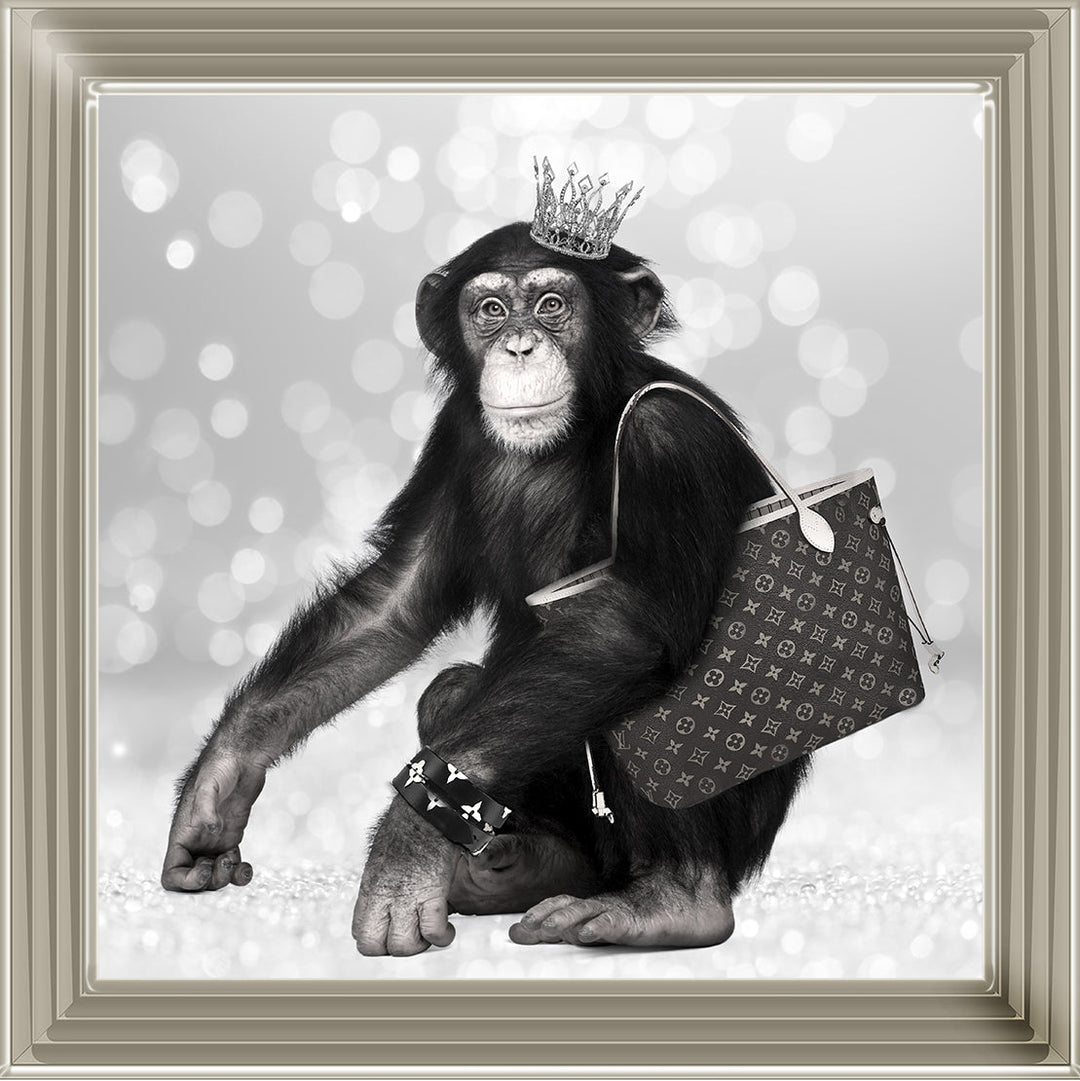 AN151 FASHION MONKEY