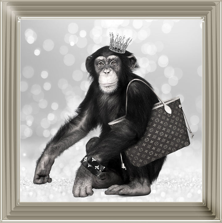 AN151 FASHION MONKEY