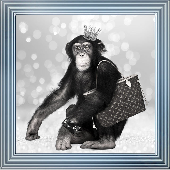 AN151 FASHION MONKEY