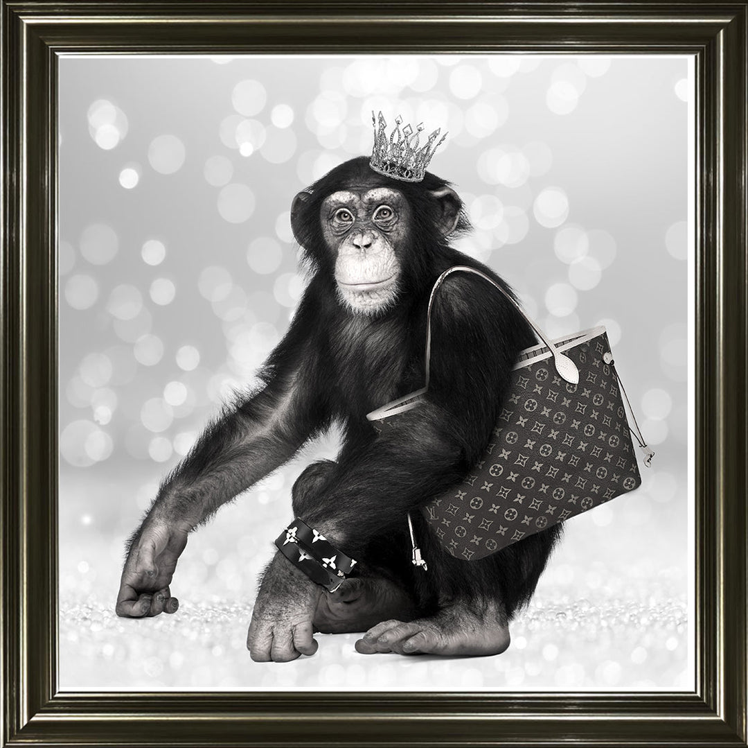 AN151 FASHION MONKEY