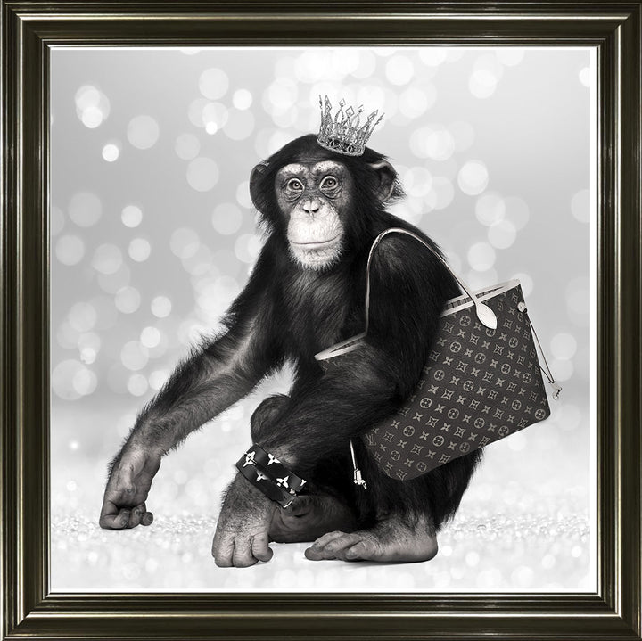 AN151 FASHION MONKEY