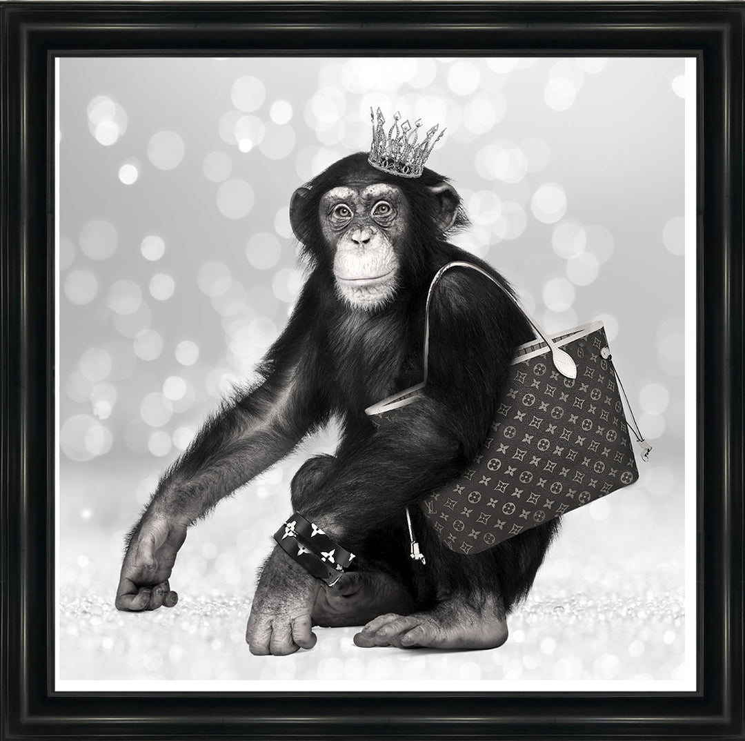 AN151 FASHION MONKEY