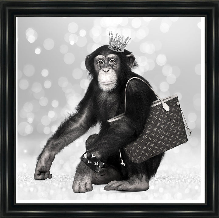 AN151 FASHION MONKEY
