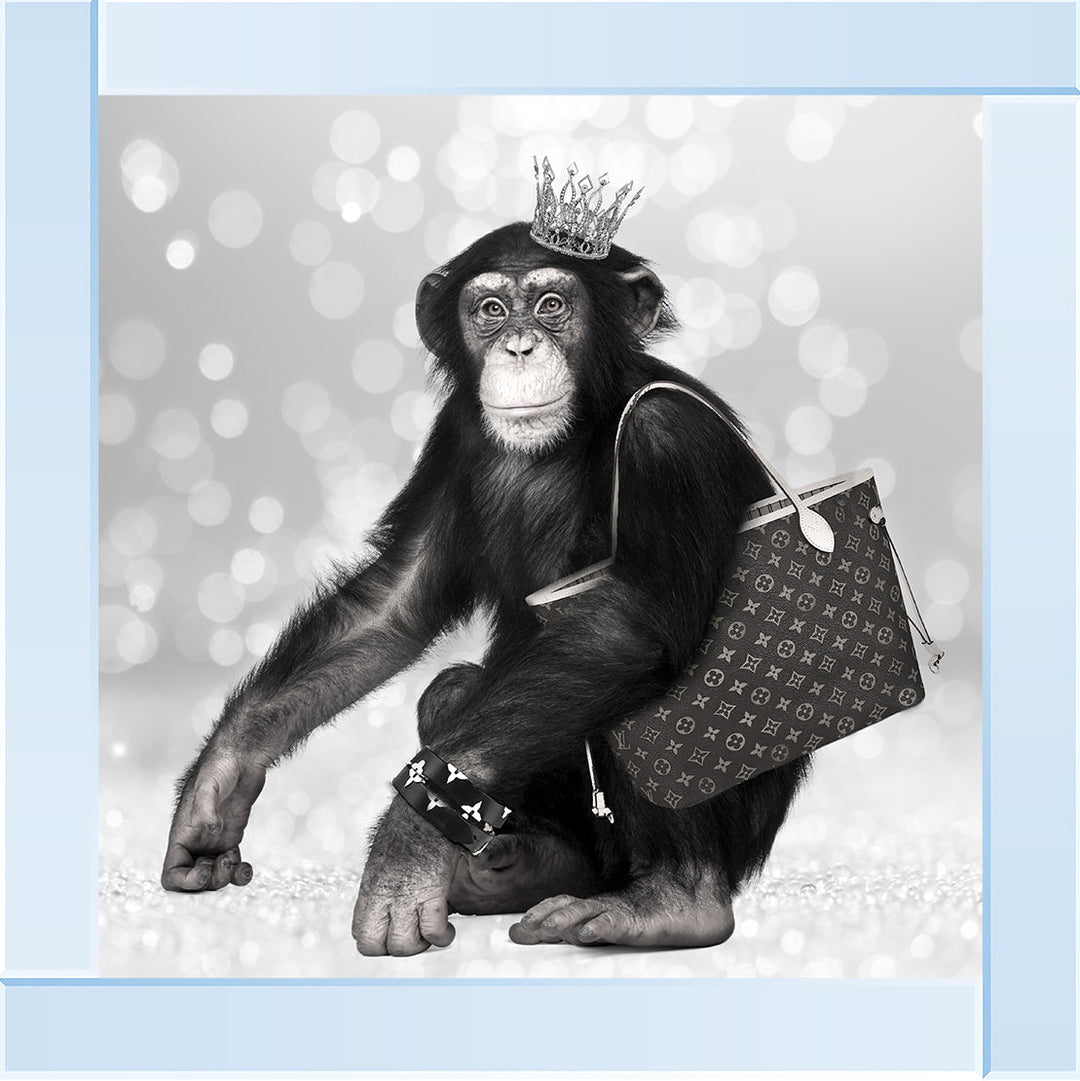 AN151 FASHION MONKEY